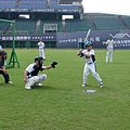 浣熊vs貓熊 (14).JPG