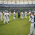 浣熊vs貓熊 (25).jpg