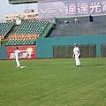 黑熊vs浣熊 (22).JPG