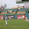 黑熊vs浣熊 (12).JPG