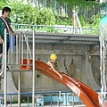 去澄清湖青年活動中心游泳.jpg