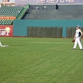 黑熊vs浣熊 (3).JPG