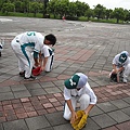 貓熊-外野課程 (20).jpg
