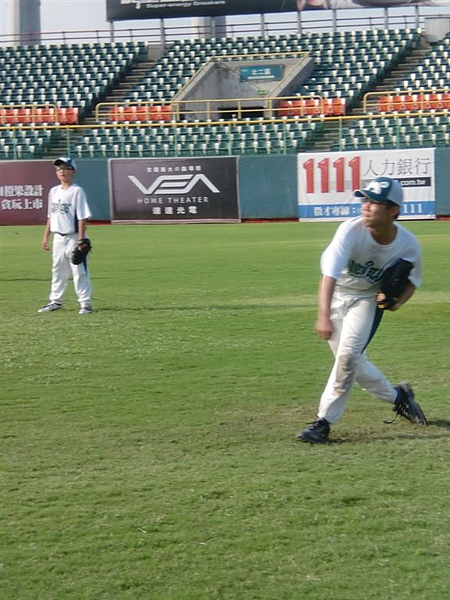 黑熊vs浣熊 (7).JPG