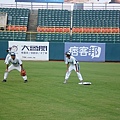 浣熊vs貓熊 (7).JPG