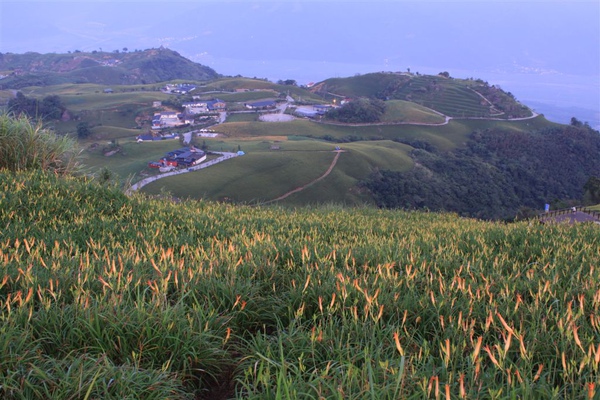 jpg_1868.JPG