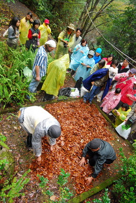 20101114_台中八仙山_小毛-36.jpg