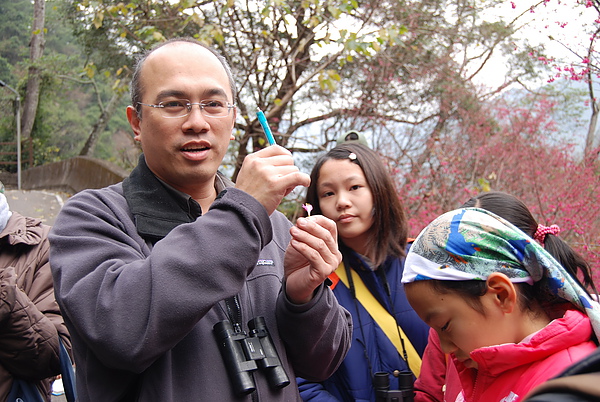 20110124-26_台中八仙山_小毛-105_調整大小.jpg