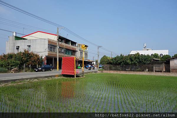 田地