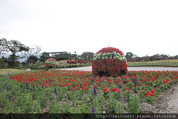 池上花海