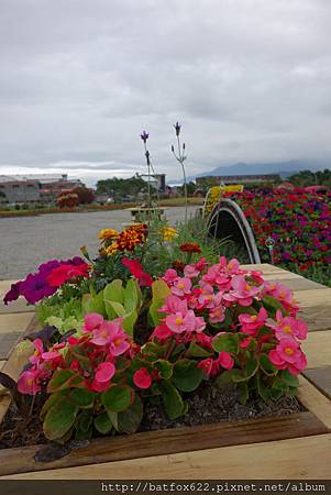 池上花海