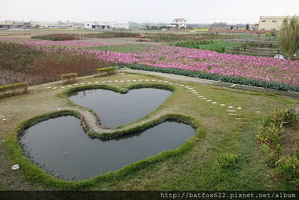 彰化大村]平和社區發現雙心池塘u0026村東國小發現童話繪本建築@ 蝙蝠狸的第 