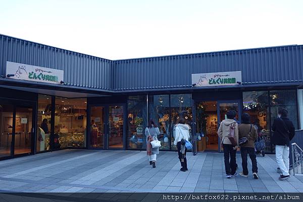 どんぐり共和国