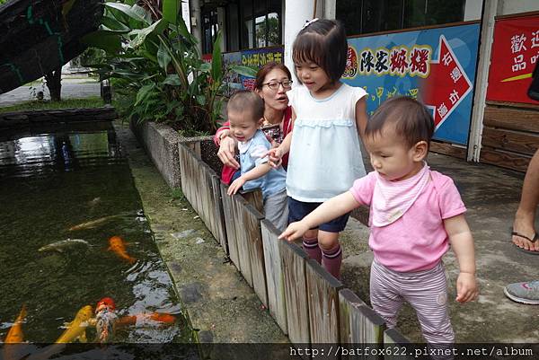 餵魚