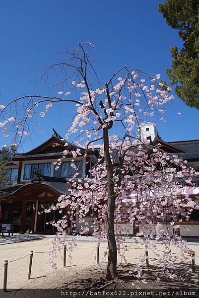 四柱神社