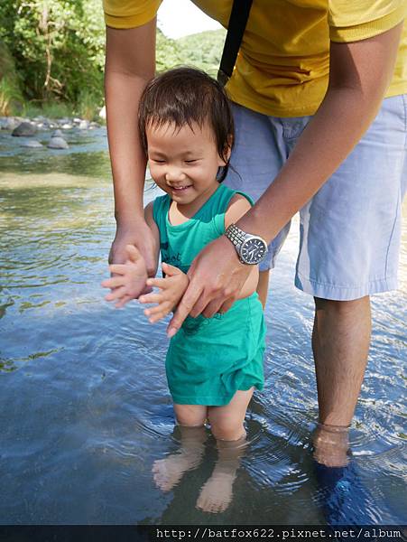 溪流玩水趣