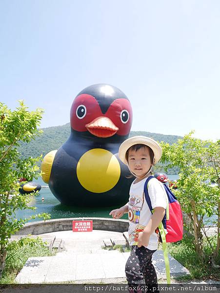 鯉魚潭紅面番鴨