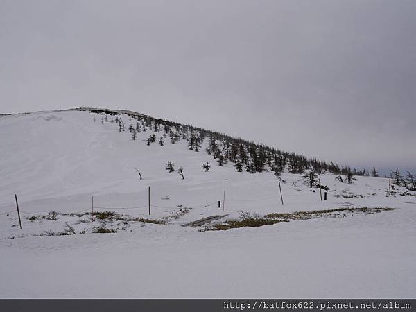 白雪靄靄