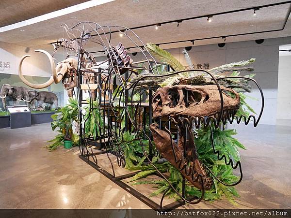 左鎮化石園區一館