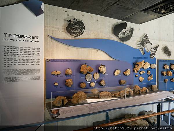 左鎮化石園區四館