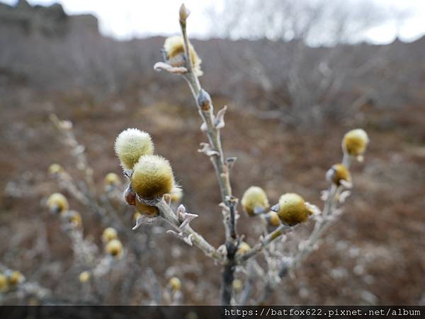 黑色城堡 Dimmuborgir