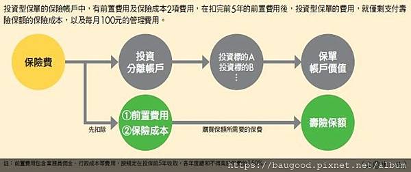 投資型保單架構.jpg