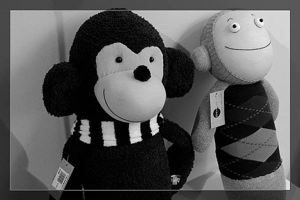 1809754066-DSC_7720-s