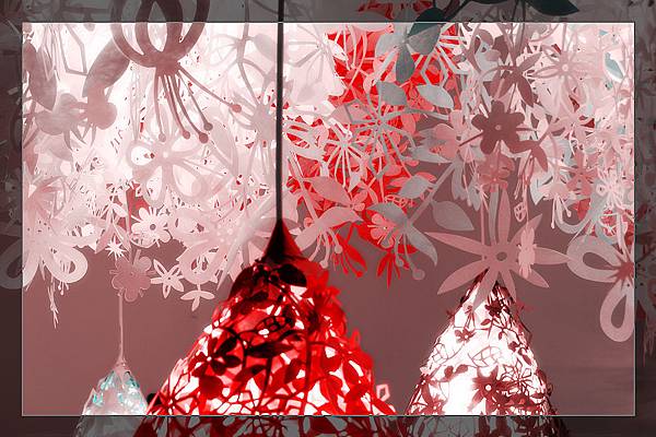 1809754096-DSC_7632-s