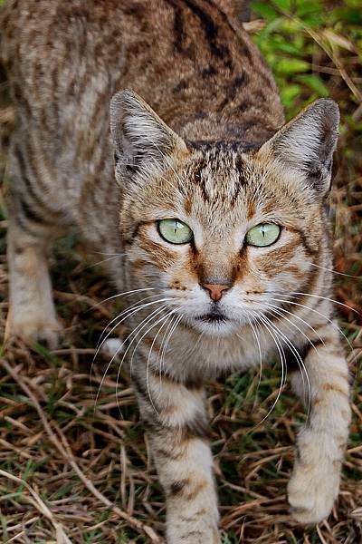 1338742587-DSC_7733-s