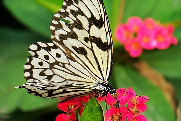 1029863362-P1030076-s