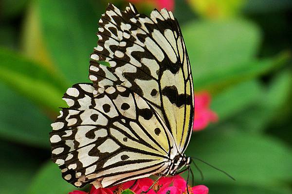 1029863364-P1030081-s