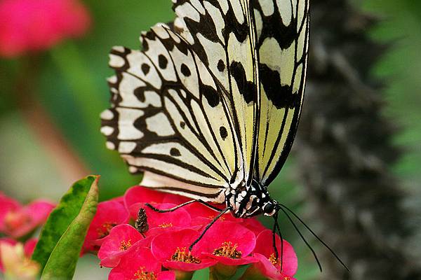 1029863365-P1030082-s