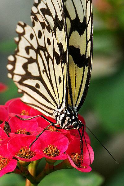 1029863366-P1030083-s