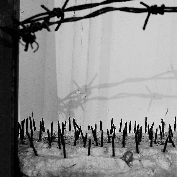 1635448786-P1010801-s