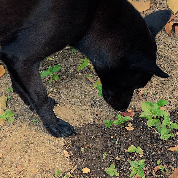 1635448789-P1010808-s