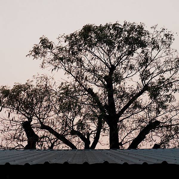 1635448808-P1010868-s