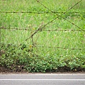 1372260361-P1050262-s