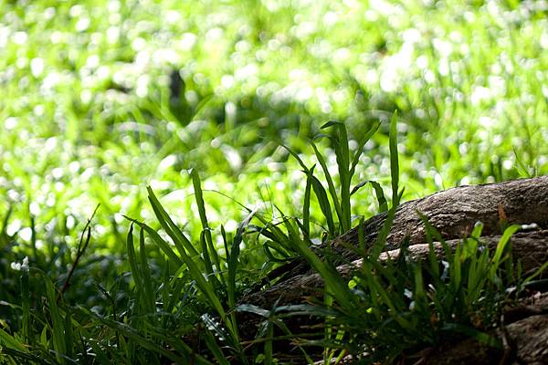 1484597628-P1050739-s