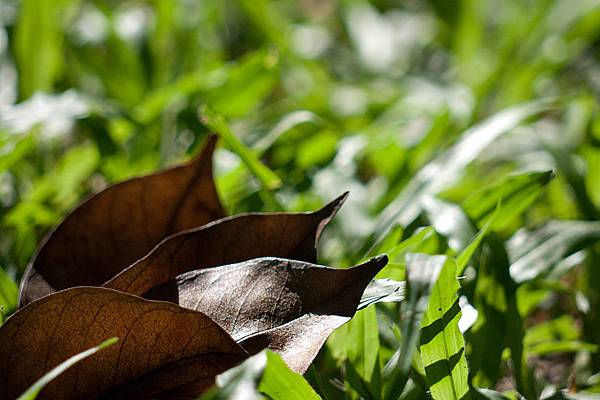 1484597629-P1050740-s