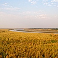 DSC_0121-s.jpg