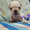 20140427_002511.jpg