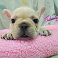 20140509_235322.jpg