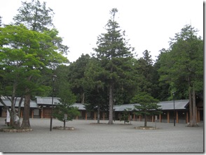 北海道神宮樹木參天