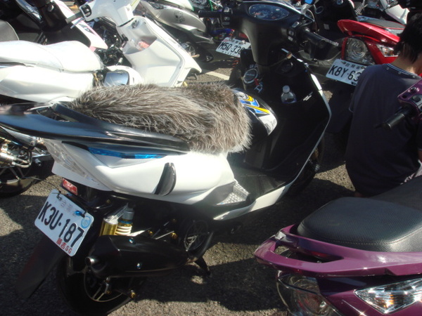 DSC06169