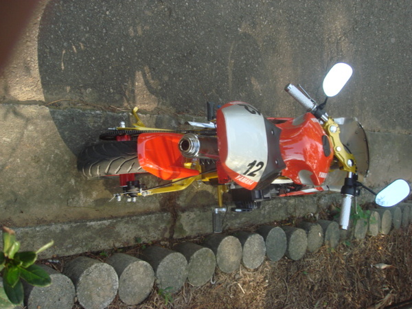 DSC06195