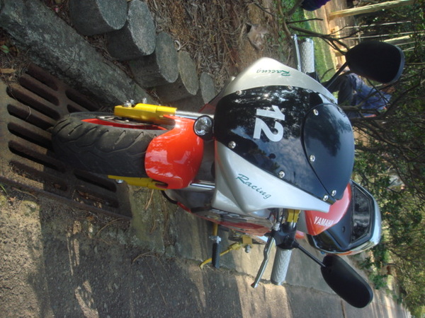 DSC06197