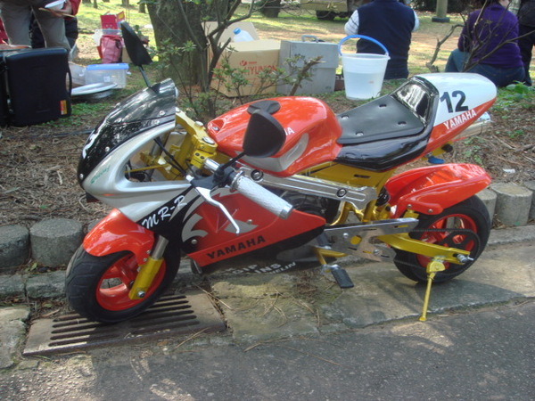 DSC06198