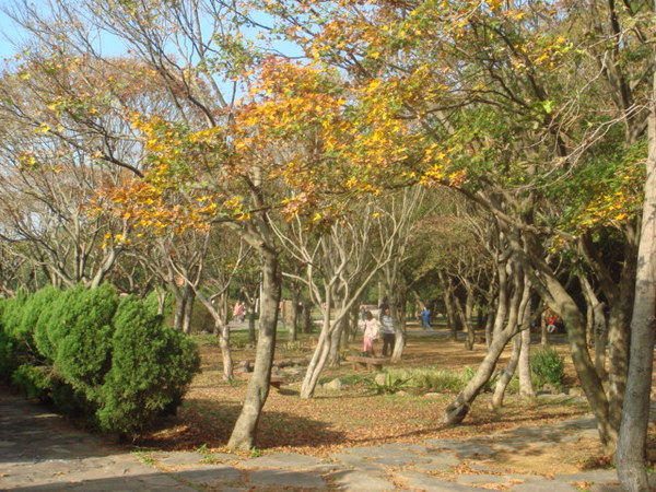 DSC06201