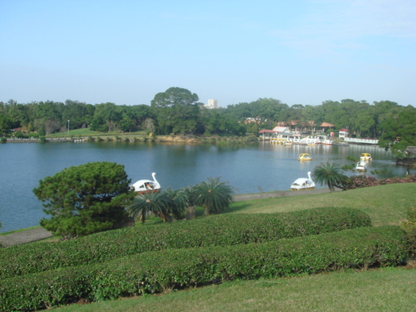 DSC06207