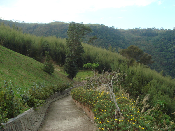 鄉徑小路